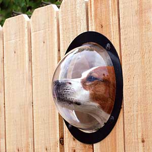 Pet Peek: Let your dogs peek at the neighbors